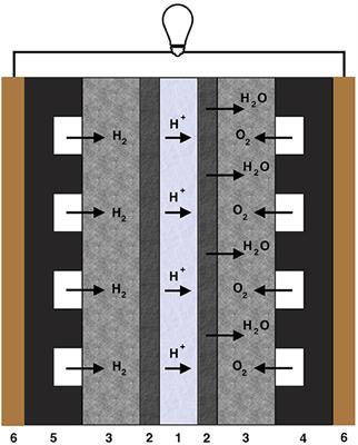 Flow Field Patterns for Proton Exchange Membrane Fuel Cells